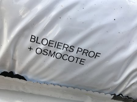 Potgrond Bloeiers