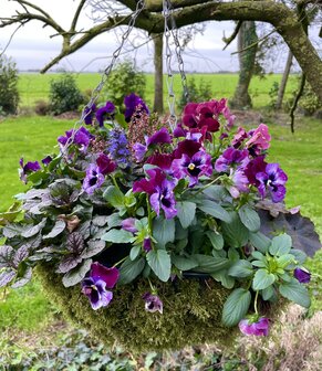 4-10-2025 Workshop Herfst/Winter Basket 13.30-15.30 uur