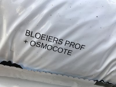 Potgrond Bloeiers